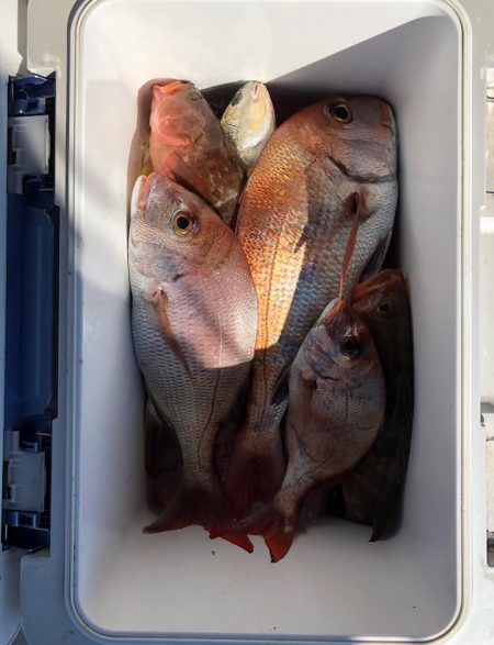 フィッシング キッタカ 釣果