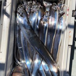 フィッシング キッタカ 釣果