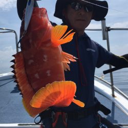 渡船屋たにぐち 釣果