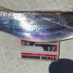 フィッシング キッタカ 釣果