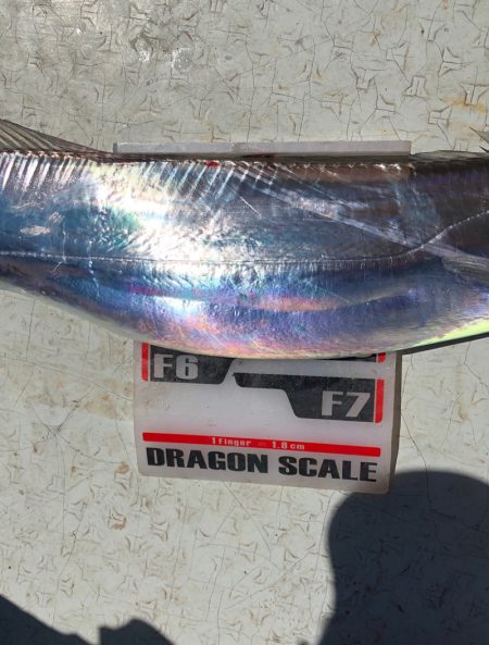 フィッシング キッタカ 釣果