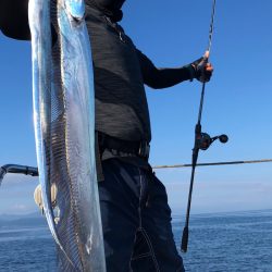 フィッシング キッタカ 釣果