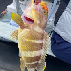 あみや渡船 JIGBOY 釣果