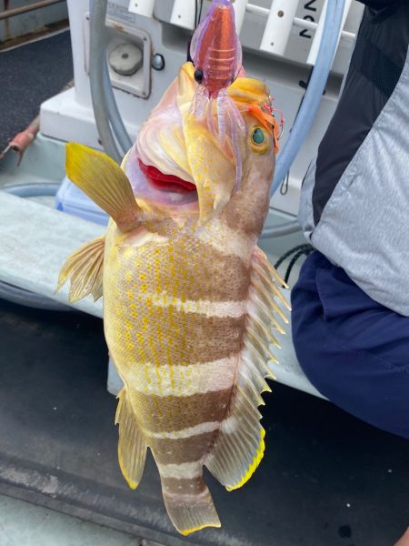 あみや渡船 JIGBOY 釣果