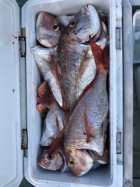 フィッシング キッタカ 釣果