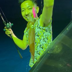 あみや渡船 JIGBOY 釣果