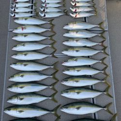 SeaRide(シーライド) 釣果