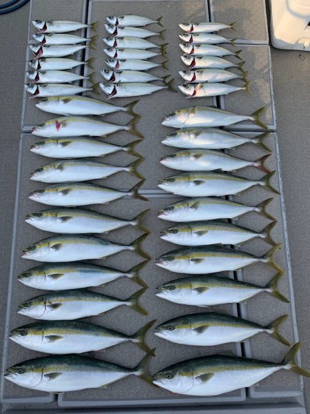 SeaRide(シーライド) 釣果