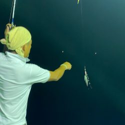 あみや渡船 JIGBOY 釣果