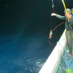 あみや渡船 JIGBOY 釣果