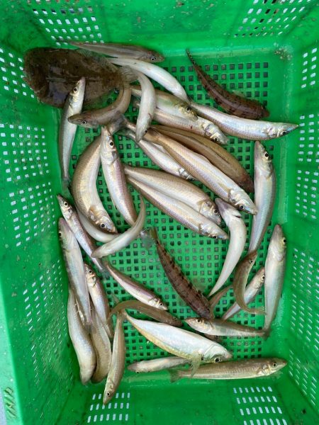 岡田釣船　八英丸 釣果