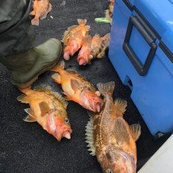 第二　つれたか丸 釣果