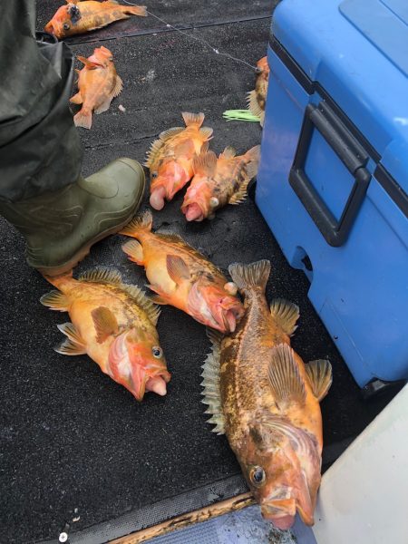 第二　つれたか丸 釣果