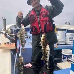 第二　つれたか丸 釣果