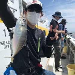 釣人家 釣果