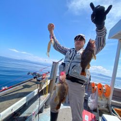 シーランチ 釣果