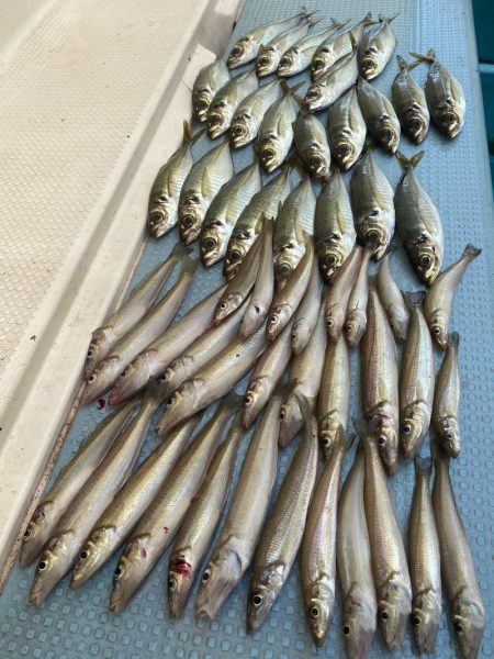 岡田釣船　八英丸 釣果