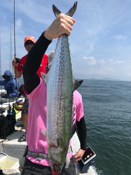 ランスルー 釣果