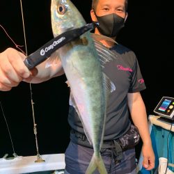 愛海丸 釣果