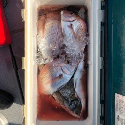 遊漁船高橋 釣果