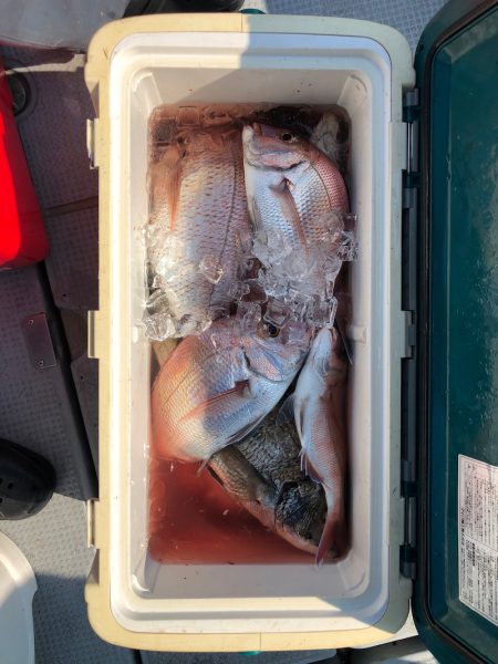 遊漁船高橋 釣果