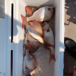 遊漁船高橋 釣果