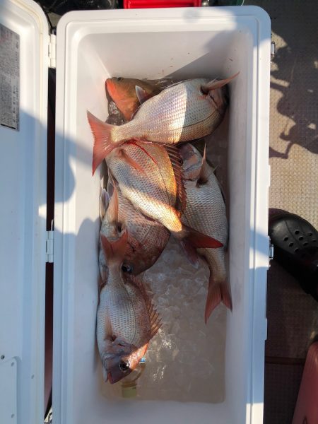 遊漁船高橋 釣果