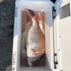 遊漁船高橋 釣果