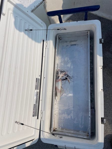 「LaGooN」蒼陽丸 日和号　 釣果