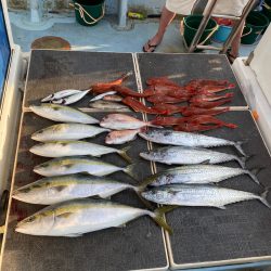 Monster Rush! 釣果