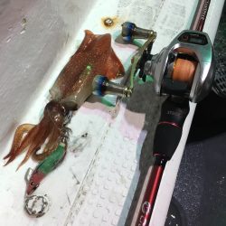 渡船屋たにぐち 釣果