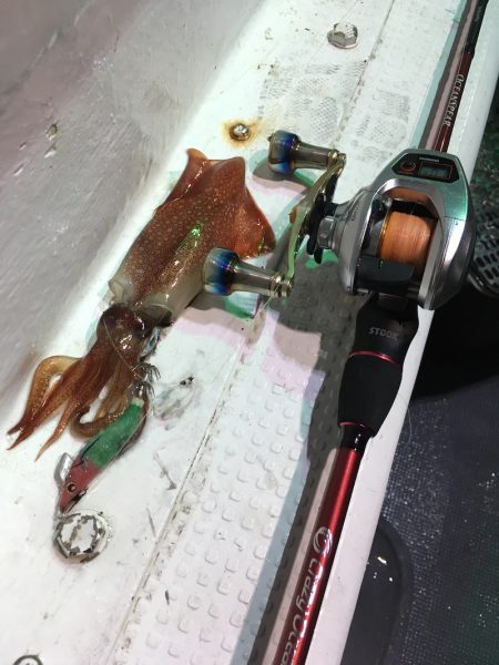 渡船屋たにぐち 釣果