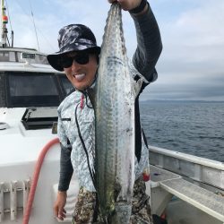 ランスルー 釣果