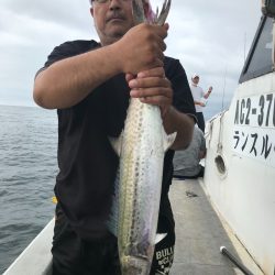 ランスルー 釣果