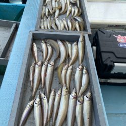 岡田釣船　八英丸 釣果