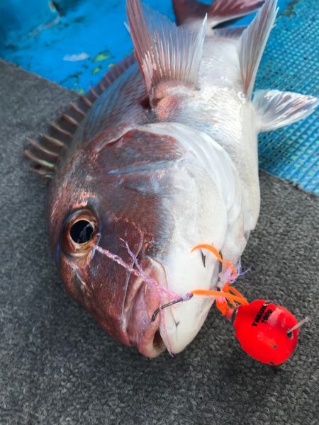 太平丸 釣果