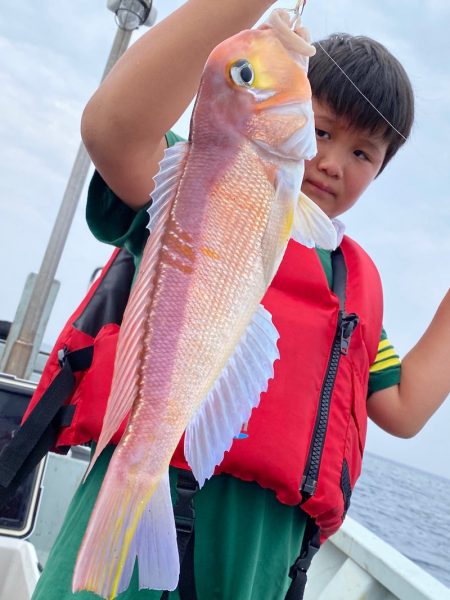 あみや渡船 JIGBOY 釣果