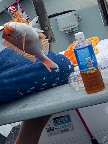 あみや渡船 JIGBOY 釣果