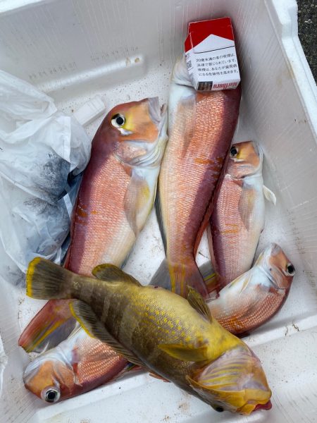 あみや渡船 JIGBOY 釣果