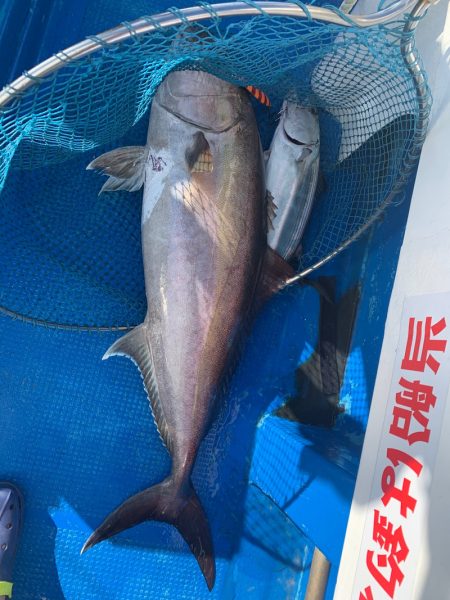 釣鯛洋 釣果