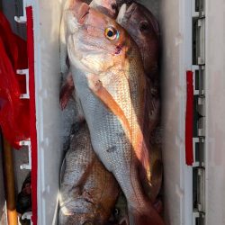 フィッシング　キッタカ 釣果