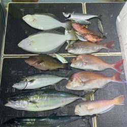 Monster Rush! 釣果