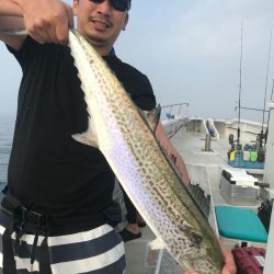 ランスルー 釣果