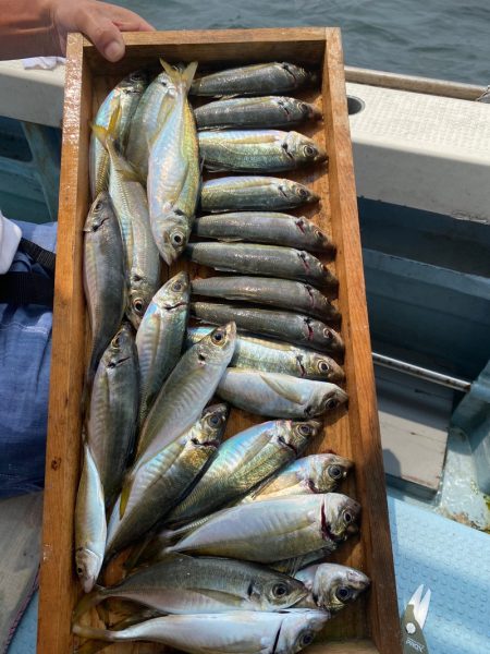 岡田釣船　八英丸 釣果