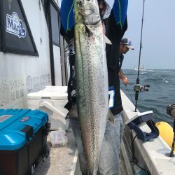 ランスルー 釣果