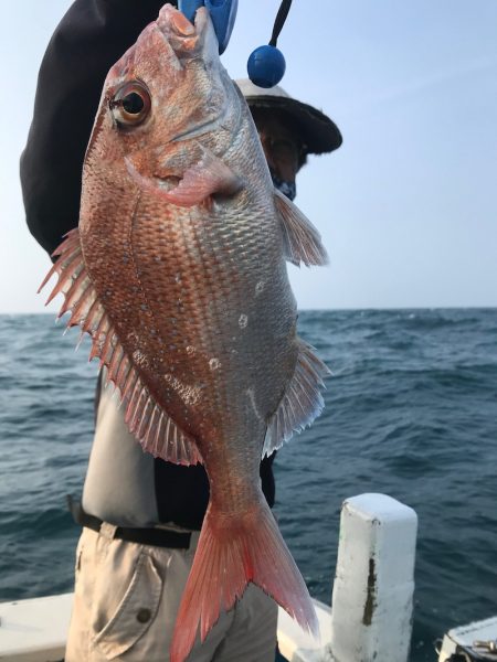 太平丸 釣果
