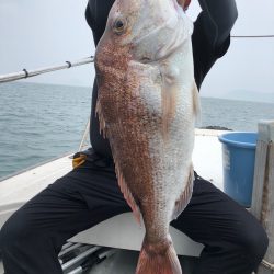 フィッシング キッタカ 釣果