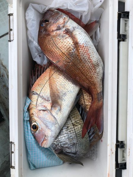 フィッシング キッタカ 釣果