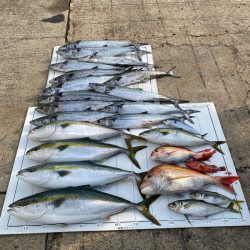 Monster Rush! 釣果