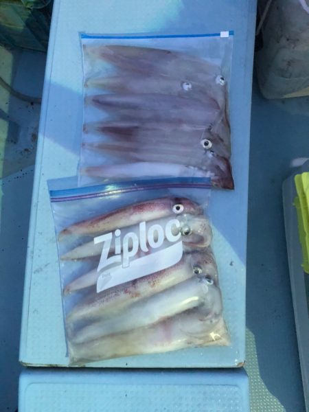 第二八坂丸 釣果